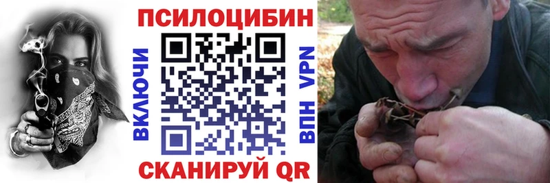 Купить  Скопин  Псилоцибиновые грибы Magic Shrooms 